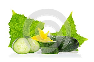 Organic healthy food. Fresh green cucumber natural vegetables with leaf and flower isolated on white background. Close up image