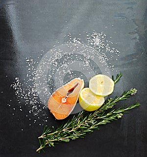 Organic, healthy and food with salmon, lemon and rosemary in kitchen or studio. Nutrition, eating and recipe for