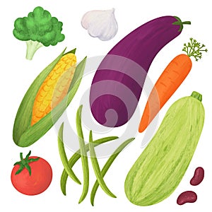 Organic healthy food, set of vegetables. Colorful illustration