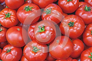 Organic healthy fresh big red ripe tomatoes on the market on sun