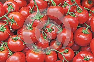 Organic healthy fresh big red ripe tomatoes on the market on sun