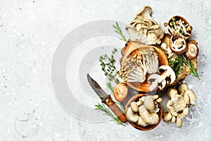 Organic Healthy Mushrooms: Maitake Mushrooms, Brown beech mushroom, and champignons.