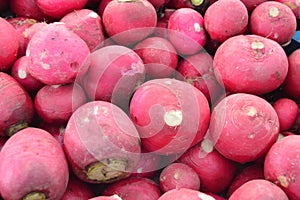 Organic and healthy radish and turnip pictures on greengrocery