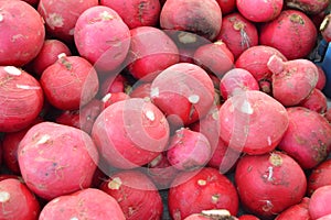 Organic and healthy radish and turnip pictures on greengrocery