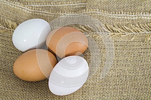Organic Hen eggs and Duck eggs