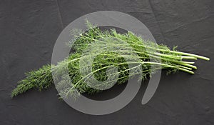 Organic Herb Fennel