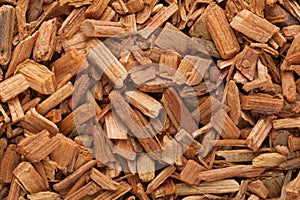Organic Himalayan cedar (Cedrus deodara) Chips. photo