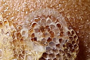 organic honey in the comb.  without additives.  Honeycomb inserted into a round lath.