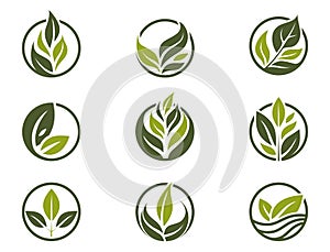 organic icon set. green plant in a circle. eco friendly, bio and natural symbols. isolated vector illustrations