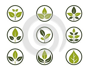 organic icon set. green plant in a circle. eco friendly, natural and bio symbols. isolated vector illustrations