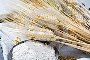 Composizione pane O preparazione farina grano orecchie 