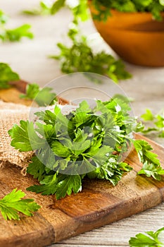 Organic Italian Flat Leaf Parsley