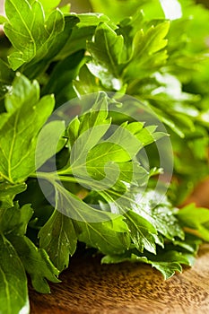 Organic Italian Flat Leaf Parsley