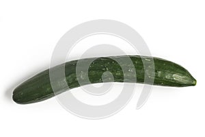 Organic Japonese Cucumber