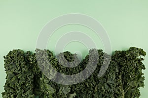 Organic kale Italian kale, Tuscan kale, dinosaur kale, lacinato on a delicate green background with place for text