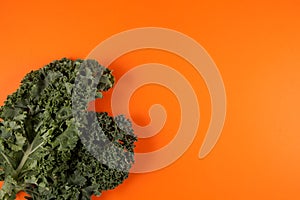 Organic kale Italian kale, Tuscan kale, dinosaur kale, lacinato on a orange background with place for text. Cabbage leaves,