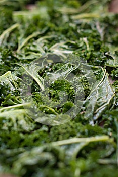 Organic kale prepared for cooking
