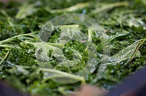 Organic kale prepared for cooking