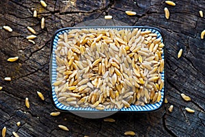 Organic Kamut grain