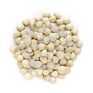 Organic kernel of Moringa (Moringa oleifera) seeds.