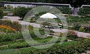 Organic kitchen garden.
