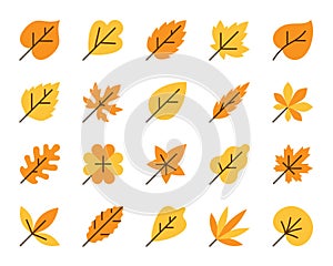 Organic Leaf simple flat color icons vector set