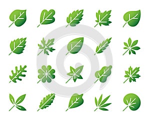 Organic Leaf simple gradient icons vector set