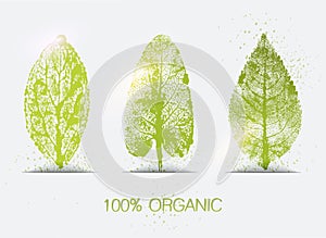 Organic leaves imprints icon set. Eco-signs.