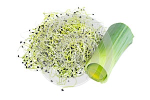 Organic Leek Sprouts On White Background