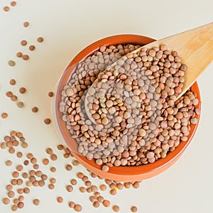 Organic lentils in a ceramic bowl with a large wooden spoon. Con