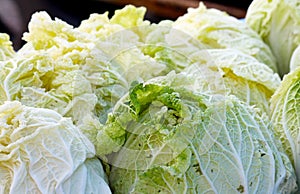 Organic Lettuce at the Farmers` Market