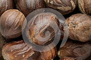 Organic Mature Organic Nutmeg (Myristica fragrans).
