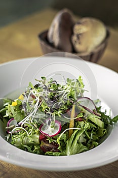 Organic mixed vegetable salad with micro greens