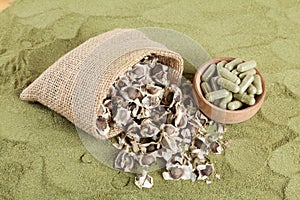 Organic moringa seeds - Moringa oleifera