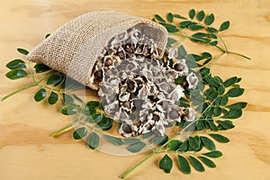 Organic moringa seeds - Moringa oleifera