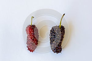 Organic Mulberry fruits on white background