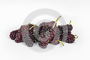 Organic Mulberry fruits on white background