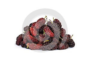 Organic Mulberry fruits on white background