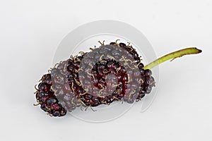 Organic Mulberry fruits on white background