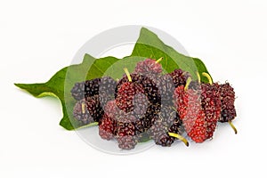 Organic Mulberry fruits on white background