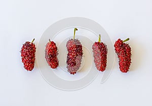 Organic Mulberry fruits on white background