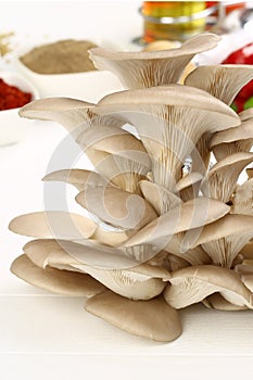 Organic Mushroom