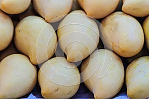 Organic Nam Dok Mai mangoes for sale at the fruit market. The Na