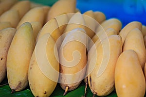 Organic Nam Dok Mai mangoes for sale at the fruit market. The Na