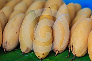 Organic Nam Dok Mai mangoes for sale at the fruit market. The Na