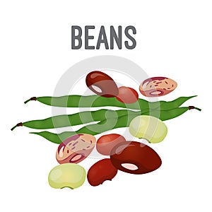Organic natural beans of all species with high calorie contain