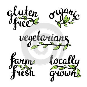 Organic natural food, vegan and vegetarians menu photo