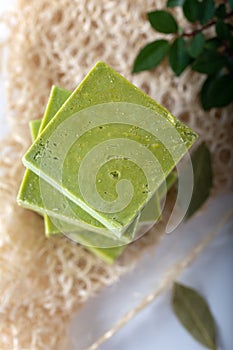 Organic natural handmade bay laurel soap with olive oil and leaves on white background.