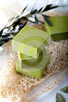 Organic natural handmade bay laurel soap with olive oil and leaves on white background.