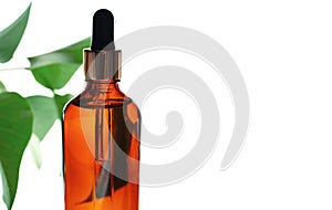 Organic natural oil in a brown bottle